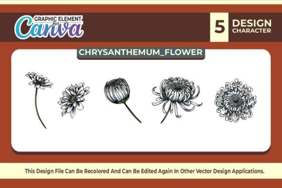 Chrysanthemum Graphic Element Vector Set: Canva Graphics