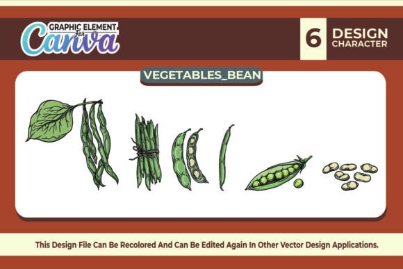 Green Bean Vegetables Vector Set