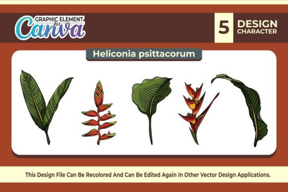 Heliconia Flowers Graphic Element Vector for Canva & Graphics