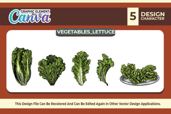 Lettuce Vegetables Vector Set Graphic for Canva & Crafting