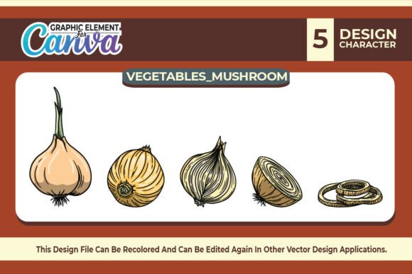 Onion Vegetables Vector Set