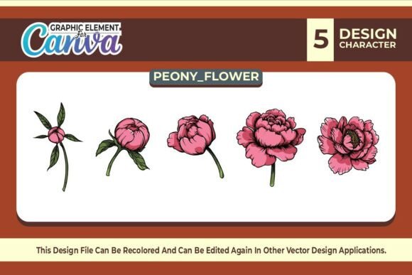 Peony Flowers Graphic Element Vector Set for Canva Graphics